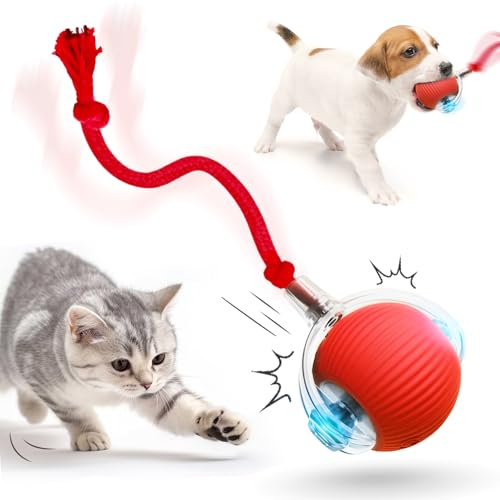 Chewie Rolling Ball, 2025 Katzenspielzeug Elektrisch, Katzenspielzeug Selbstbeschäftigung Interaktives Katzen Spielzeug Elektrisches Automatisches Katzen Spielzeug Rollender Ball (ROT*2) von COSEN