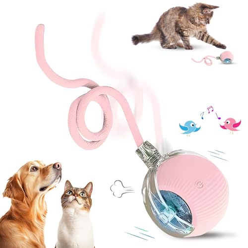 Chewie Rolling Ball, 2025 Katzenspielzeug Elektrisch, Katzenspielzeug Selbstbeschäftigung Interaktives Katzen Spielzeug Elektrisches Automatisches Katzen Spielzeug Rollender Ball (Rosa) von COSEN
