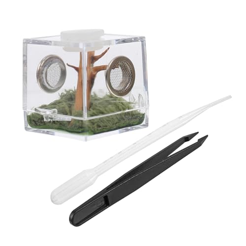 COSMEVIVI 1 Satz Fütterungsbox für Reptilien Kompakte Terrarien für Springspinnen und Insekten für Heimzucht Leicht und Praktisch Feuchtigkeitsbeständig COSMEVIVI 1 Satz Fütterungsbox für Reptilien Kompakte Terrarien für Springspinnen und Insekten für Heimzucht Leicht und Praktisch Feuchtigkeitsbeständig von COSMEVIVI