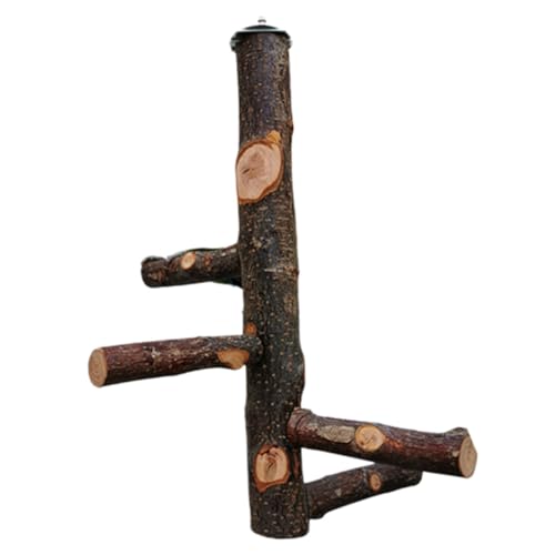 COSMEVIVI 1satz Vogelkäfig Stand Mit Holz Sitzstange Und Spielzeug Für Papageien Nymphensittiche Und Andere Vögel Stabiler Und Praktischer Trainingsstand Aus Hochwertigem Naturholz COSMEVIVI 1satz Vogelkäfig Stand Mit Holz Sitzstange Und Spielzeug Für Papageien Nymphensittiche Und Andere Vögel Stabiler Und Praktischer Trainingsstand Aus Hochwertigem Naturholz von COSMEVIVI