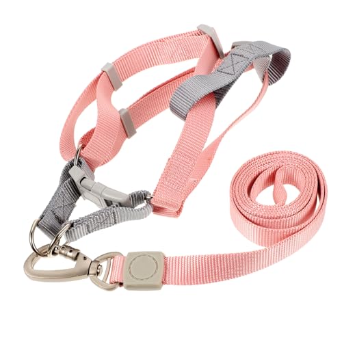 COSMEVIVI 1satz Hundegeschirr Mit Verstellbarer Leine Für Kleine Und Mittelgroße Hunde Leicht Und Komfortabel Für Training Und COSMEVIVI 1satz Hundegeschirr Mit Verstellbarer Leine Für Kleine Und Mittelgroße Hunde Leicht Und Komfortabel Für Training Und von COSMEVIVI