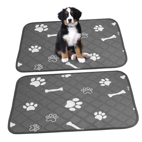 COSMEVIVI Doggie Pee Pads 2er-Set waschbare Trainingsmatten für Haustiere auslaufsichere Pads für Hunde Indoor- und Home-Potty-Pads COSMEVIVI Doggie Pee Pads 2er-Set waschbare Trainingsmatten für Haustiere auslaufsichere Pads für Hunde Indoor- und Home-Potty-Pads von COSMEVIVI