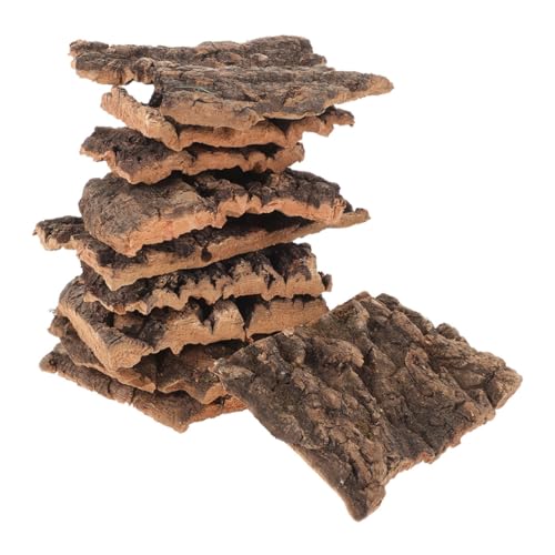 COSMEVIVI 20stücke Terrarium Dekoration Mit Baumrinde Für Reptilien Natürliche Bark Hintergründe Für Terrarien Und Aquarien Ca Zufällige Formen Für Reptilienhaltung Und Kreative von COSMEVIVI