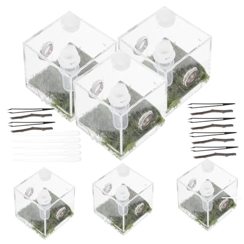 COSMEVIVI Springspinnen Terrarium Gehäuse Transparent Belüftungslöcher Robust und Langlebig Futterbox für Reptilien für Zucht von Springspinnen COSMEVIVI Springspinnen Terrarium Gehäuse Transparent Belüftungslöcher Robust und Langlebig Futterbox für Reptilien für Zucht von Springspinnen von COSMEVIVI