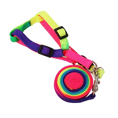 COSMEVIVI 2St Leine hundegurt hundelaufband Hunde tragerucksack Dog hundehalsband Haustier Geschirr Steuergriff für das Haustiergeschirr Haustier Hund Zugband Haustierbedarf Nylon Colorful von COSMEVIVI