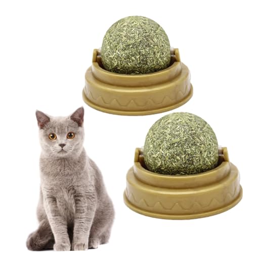 COSMEVIVI Katzenleckerli-Minzball 4 Stück Katzenminzenbälle Spielzeug rotierende Puzzlebälle Katzenbeißball Wandaufklebball Spielzeug sicher für Katzen COSMEVIVI Katzenleckerli-Minzball 4 Stück Katzenminzenbälle Spielzeug rotierende Puzzlebälle Katzenbeißball Wandaufklebball Spielzeug sicher für Katzen von COSMEVIVI