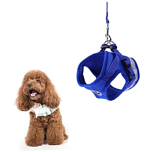 COSMEVIVI Pet Harness Mit Leine Für Hunde Reflektierendes Verstellbares Brustgeschirr Blau XL Für Optimale Und Komfort Beim Spaziergang von COSMEVIVI