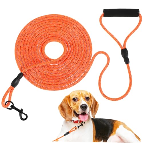 COSMEVIVI Hundeleine Für Welpen 6 M Nylon-hundeleine Mit Reflektierenden Streifen Bequemer Griff Vielseitig Einsetzbar Für Verschiedene Größen COSMEVIVI Hundeleine Für Welpen 6 M Nylon-hundeleine Mit Reflektierenden Streifen Bequemer Griff Vielseitig Einsetzbar Für Verschiedene Größen von COSMEVIVI