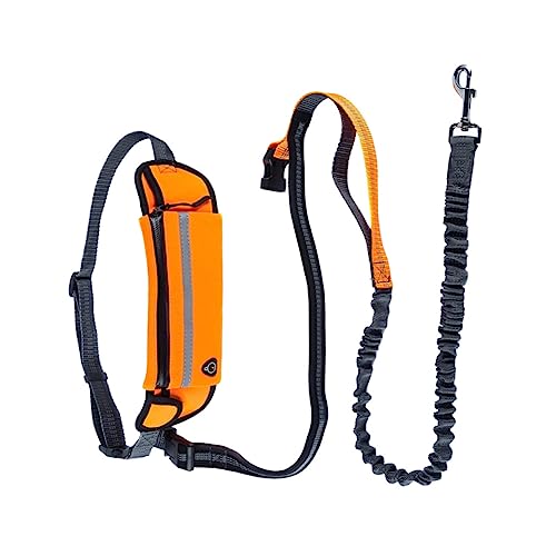 COSMEVIVI Hundeleine Hunde Die Bungee Laufen Reflektierende Streifen Hundetraining Für Laufen Wandern COSMEVIVI Hundeleine Hunde Die Bungee Laufen Reflektierende Streifen Hundetraining Für Laufen Wandern von COSMEVIVI
