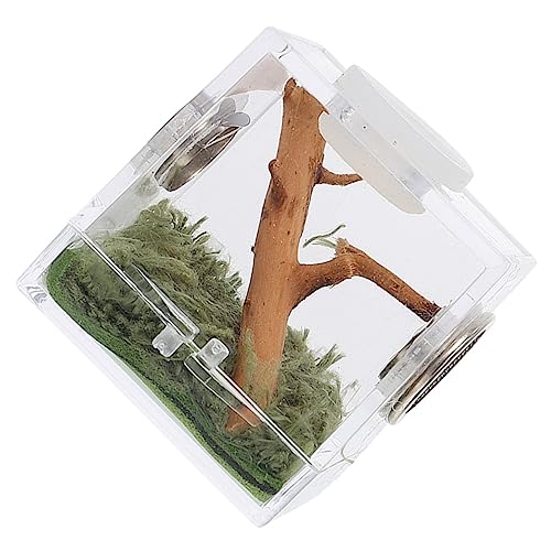 COSMEVIVI Reptilienzuchtkasten Spinnen- Und Insektengehege Käfig Für Springspinnen Leichte Und Stabile Acryl-landschaftsbox COSMEVIVI Reptilienzuchtkasten Spinnen- Und Insektengehege Käfig Für Springspinnen Leichte Und Stabile Acryl-landschaftsbox von COSMEVIVI