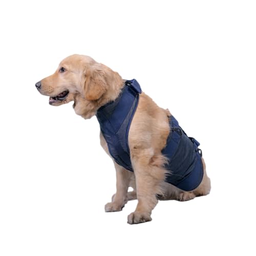 COSMEVIVI Zuggurt Für Hunde Und Haustiere Ergonomischer Weich Gepolsterter Griff Für Ältere Verletzte Hunde Tragbarer Hilfsgürtel Medizinischer Hundegürtel Größe S COSMEVIVI Zuggurt Für Hunde Und Haustiere Ergonomischer Weich Gepolsterter Griff Für Ältere Verletzte Hunde Tragbarer Hilfsgürtel Medizinischer Hundegürtel Größe S von COSMEVIVI