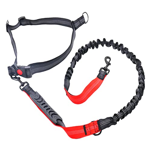 COSMEVIVI Trainingsleine Für 1 Pc Bungee Hundeleine Für Große Und Mittelgroße Reflektierende Und Elastische Zugleine Ideal Für Hundetraining Und Roter COSMEVIVI Trainingsleine Für 1 Pc Bungee Hundeleine Für Große Und Mittelgroße Reflektierende Und Elastische Zugleine Ideal Für Hundetraining Und Roter von COSMEVIVI