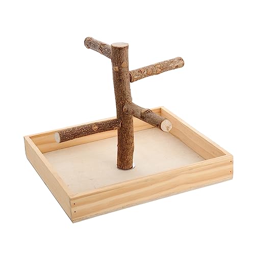 COSMEVIVI Vogelspielstand Aus Holz Für Kleine Und Mittelgroße Vögel Tragbarer Trainingsspielplatz Mit Sitzstangen Für Papageien Kanarienvögel Und Andere Kleinvögel von COSMEVIVI