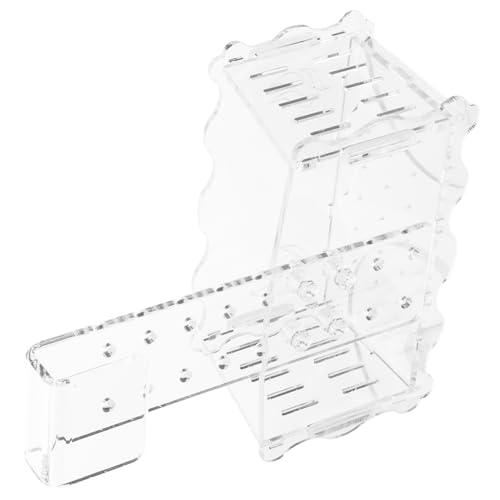 COSMEVIVI Wasserpflanzenbecher Aquarium Pflanzenbecher Haken Aquarium Pflanzenhalter für Dekoration COSMEVIVI Wasserpflanzenbecher Aquarium Pflanzenbecher Haken Aquarium Pflanzenhalter für Dekoration von COSMEVIVI