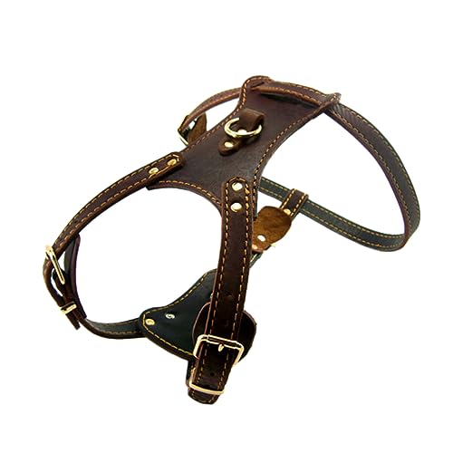 COSMEVIVI Haustierhalsband Großer Brustgurt Hundehalskette Modisches Haustierzubehör Haustier-transportseilhalsband Für Mittelgroße Und Große Hunde COSMEVIVI Haustierhalsband Großer Brustgurt Hundehalskette Modisches Haustierzubehör Haustier-transportseilhalsband Für Mittelgroße Und Große Hunde von COSMEVIVI
