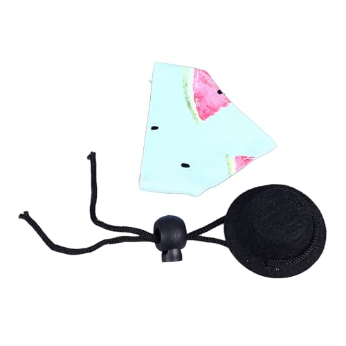 Bartagamen-Cowboyhut-Bandana-Set, Bartagamen-Hut-Bandana-Set, bequem, exquisit, Halloween-Eidechsenkostüm, Kleintier-Reptil-Cosplay-Outfits (Blue Watermelon) von COSMICROWAVE