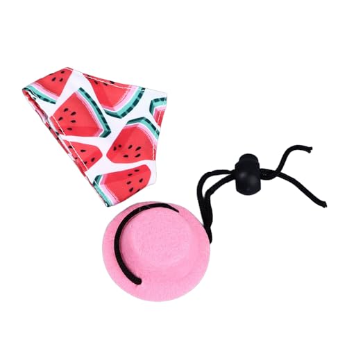 Bartagamen-Cowboyhut-Bandana-Set, Bartagamen-Hut-Bandana-Set, bequem, exquisit, Halloween-Eidechsenkostüm, Kleintier-Reptil-Cosplay-Outfits (Red Watermelon) von COSMICROWAVE