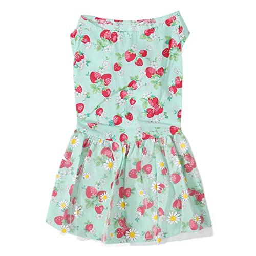 Hundekleider für kleine Hunde und Mädchen, Geburtstag, Haustierrock, Kostüm, Outfit, Katzenkleidung, Hundekleid, süßes Hundekleid, Welpenkleid, Blumenmuster, Welpenkleid, (M) von COSMICROWAVE