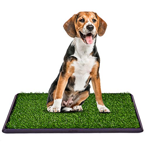 COSTWAY Hundeklo mit Rasen, Hundewelpen-Töpfchenauflage Hundetoilette Welpentoilette 3-Lagen-Trainingsunterlage Tierklo 76x51cm von COSTWAY