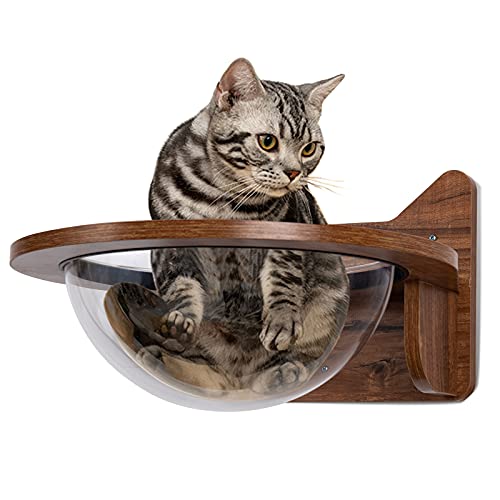 COSTWAY Katzenliege für die Wand, Kletterwand Katzen, transparente Halbkugel mit Holzrahmen, Katzenbett Katzenmöbel bis 10 kg, Katzenregal Wandmontage, Wandmöbel Wandliege Holz, 40x40x23cm, braun COSTWAY Katzenliege für die Wand, Kletterwand Katzen, transparente Halbkugel mit Holzrahmen, Katzenbett Katzenmöbel bis 10 kg, Katzenregal Wandmontage, Wandmöbel Wandliege Holz, 40x40x23cm, braun von COSTWAY