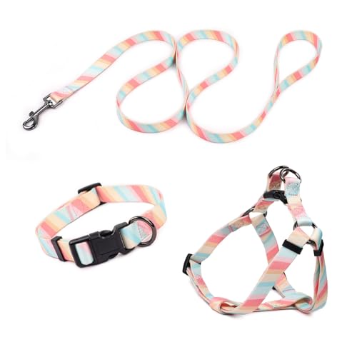 COSYHOMELONDON Hundegeschirr, atmungsaktiv, verstellbar, Hundeleine und Geschirr, kein Ziehen, für kleine, mittelgroße und große Hunde (Marshmallow, M) von COSYHOMELONDON