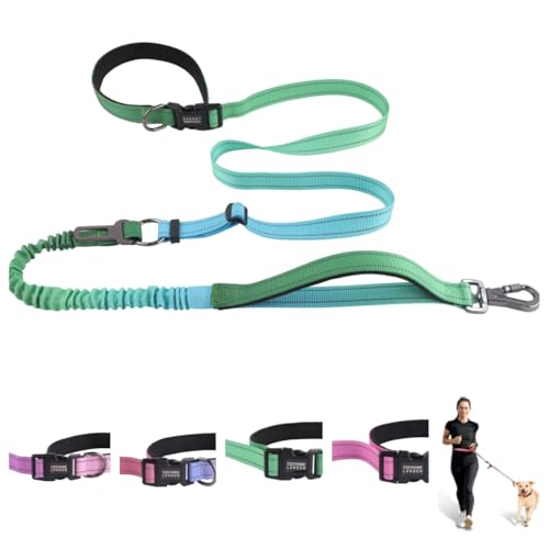 COSYHOMELONDON Hundeleine, strapazierfähig, kein Ziehen, Bungee-Hundeleine, für Spaziergänge, Training, mit Auto-Sicherheitsgurt, 1,2 - 1,8 m, Limettengrün COSYHOMELONDON Hundeleine, strapazierfähig, kein Ziehen, Bungee-Hundeleine, für Spaziergänge, Training, mit Auto-Sicherheitsgurt, 1,2 - 1,8 m, Limettengrün von COSYHOMELONDON