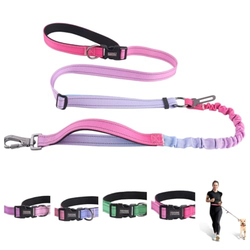COSYHOMELONDON Hundeleine, strapazierfähig, kein Ziehen, Bungee-Hundeleine, für Spaziergänge, Training, mit Auto-Sicherheitsgurt, 1,2 - 1,8 m, Violett COSYHOMELONDON Hundeleine, strapazierfähig, kein Ziehen, Bungee-Hundeleine, für Spaziergänge, Training, mit Auto-Sicherheitsgurt, 1,2 - 1,8 m, Violett von COSYHOMELONDON