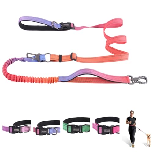 COSYHOMELONDON Hundeleine, strapazierfähig, kein Ziehen, Bungee-Hundeleine, für Spaziergänge, Training, mit Auto-Sicherheitsgurt, 1,2 - 1,8 m, pfirsichfarben COSYHOMELONDON Hundeleine, strapazierfähig, kein Ziehen, Bungee-Hundeleine, für Spaziergänge, Training, mit Auto-Sicherheitsgurt, 1,2 - 1,8 m, pfirsichfarben von COSYHOMELONDON