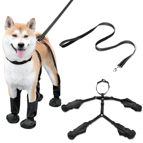 COTATI Hosenträger für Hunde, wasserdicht, Stiefel und Leggings, Hundepfoten-Schuhe mit Hosenträgern, Größe S bis L, für Schnee und Regen (L) von COTATI