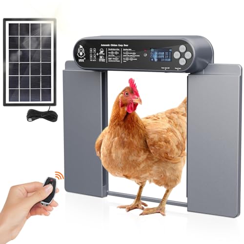 Automatische Hühnerklappe Batterie mit Lichtsensor, COTINSE Elektrische Hühnerklappe Hühnertür Solar mit Wasserdicht Großes Display, Intelligenter Einklemmschutz, Timer, Manuelle, Fernbedienung Automatische Hühnerklappe Batterie mit Lichtsensor, COTINSE Elektrische Hühnerklappe Hühnertür Solar mit Wasserdicht Großes Display, Intelligenter Einklemmschutz, Timer, Manuelle, Fernbedienung von COTINSE