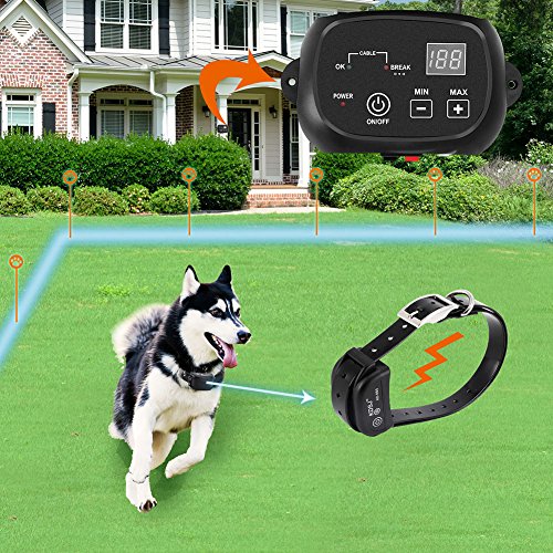 COVONO Hundehalsband COVONO Hundehalsband von COVONO