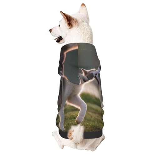 Husky Dogsmall Haustier-Kapuzenpullover, niedliches Hunde-Sweatshirt mit Kapuze, Haustierkleidung, geeignet für kleine Hunde von COWMMWOC