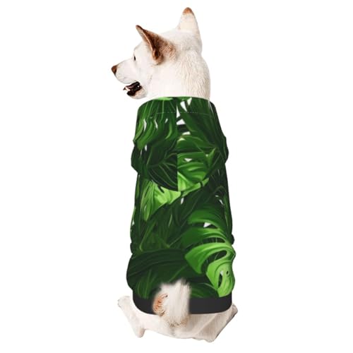 Monstera Deliciosa Hunde-Kapuzenpullover mit Kapuze, für kleine Hunde geeignet, Bananenpalmen von COWMMWOC