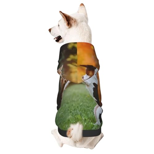 Niedliches Dogssmall Haustier-Kapuzenpullover mit Kapuze, Haustierkleidung, geeignet für kleine Hunde von COWMMWOC
