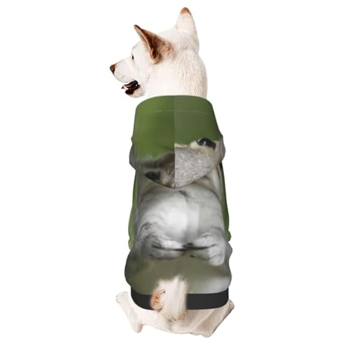 Squirrelsmall Haustier-Kapuzenpullover, niedliches Hunde-Sweatshirt mit Kapuze, Haustierkleidung, geeignet für kleine Hunde von COWMMWOC