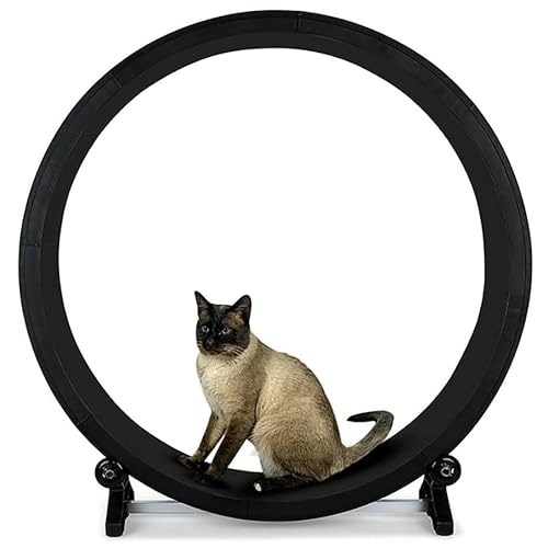 Katzenlaufband, Laufrad für Haustiere, rutschfeste Laufbahn, solide Basis, 100 kg Tragfähigkeit, für kleine/mittlere Katzen von COYEUX