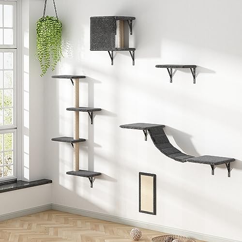 COZIWOW Katzen-Wandregale, Wandmontierter Katzenkletterer 5er Set, Schwimmende Katzen-Sitzstangen, Hängende Katzenbetten, Moderne Katzenmöbel für große Katzen oder Kätzchen, Grau von COZIWOW