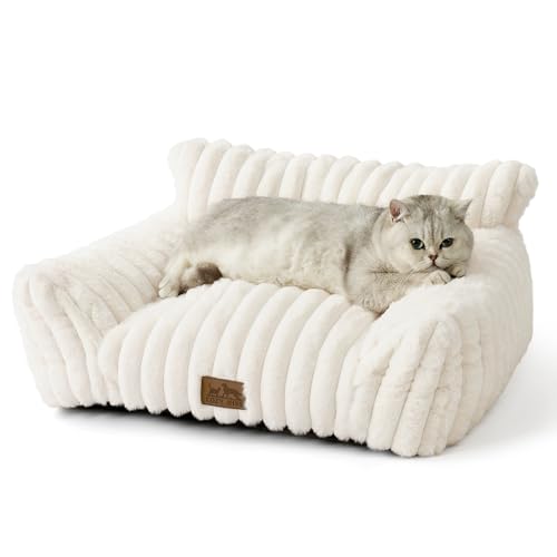COZY KISS Katzenbett Flauschig für Große Katzen, Waschbar Katzensofa Katzenschlafplatz für Kleine Hunde, Plüsch rutschfeste Haustierbett (65x44x30cm, Creme) von COZY KISS