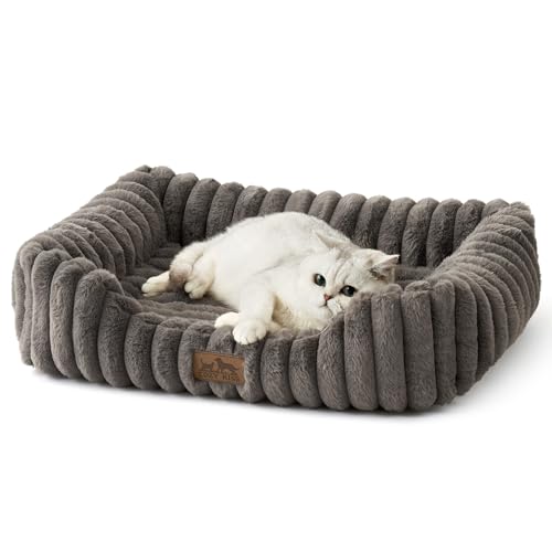COZY KISS Orthopädisches Hundebett für kleine Katzen, Abnehmbares Haustier Bett mit Eierschaum, Hundecouch mit Hohem Rand, Hundekissen mit Anti-Rutschboden, Waschbar, Waschbar, Weich, 64*53*15cm, Grau COZY KISS Orthopädisches Hundebett für kleine Katzen, Abnehmbares Haustier Bett mit Eierschaum, Hundecouch mit Hohem Rand, Hundekissen mit Anti-Rutschboden, Waschbar, Waschbar, Weich, 64*53*15cm, Grau von COZY KISS