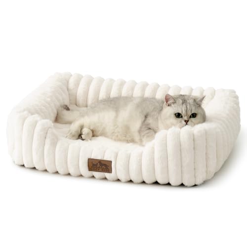 COZY KISS Orthopädisches Hundebett für kleine Katzen, Abnehmbares Haustier Bett mit Eierschaum, Hundecouch mit Hohem Rand, Hundekissen mit Anti-Rutschboden,Waschbar,Weich,64 x 53 x 15 cm, Beige COZY KISS Orthopädisches Hundebett für kleine Katzen, Abnehmbares Haustier Bett mit Eierschaum, Hundecouch mit Hohem Rand, Hundekissen mit Anti-Rutschboden,Waschbar,Weich,64 x 53 x 15 cm, Beige von COZY KISS