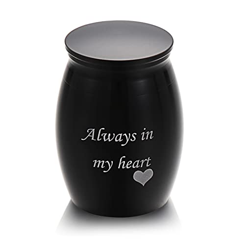 CPDDNGZMKK Gedenkstätten Für Haustiere 1Pc Mini Memorial Urne Aluminiumlegierung Gewindedeckel Pet Urnen Geliebte Pet Andenken Bestattungsurne Trauerbox(1,L) von CPDDNGZMKK