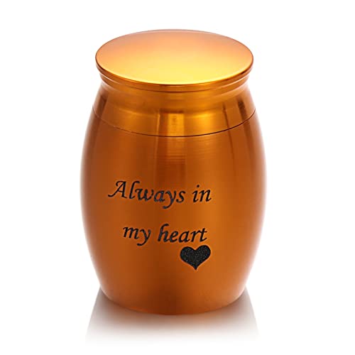 CPDDNGZMKK Gedenkstätten Für Haustiere 1Pc Mini Memorial Urne Aluminiumlegierung Gewindedeckel Pet Urnen Geliebte Pet Andenken Bestattungsurne Trauerbox(3,L) von CPDDNGZMKK