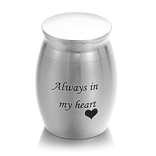 CPDDNGZMKK Gedenkstätten Für Haustiere 1Pc Mini Memorial Urne Aluminiumlegierung Gewindedeckel Pet Urnen Geliebte Pet Andenken Bestattungsurne Trauerbox(5,L) von CPDDNGZMKK