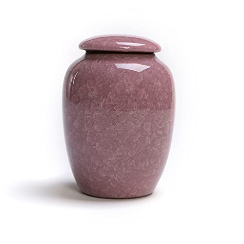 CPDDNGZMKK Gedenkstätten Für Haustiere Pet Urn for Dogs Cats Ashes Keepsake Memorial Box Funeral Set Burial Urns for Cremated Remains Ash Vial Adult Funeral Urn Pet Cat and Dog Urn 60203 Trauerbox(E) von CPDDNGZMKK