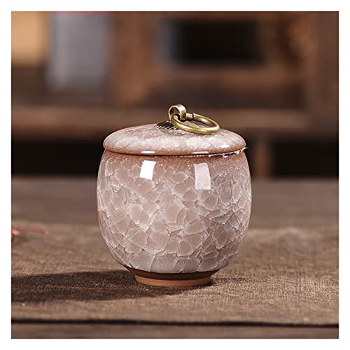 Gedenkstätten Für Haustiere Pet Urn For Dogs Cats Ashes Keepsake Memorial Box Funeral Set Burial Urns For Cremated Remains Ash Vial Adult Funeral Urn Pet Cat And Dog Urn 73251 Trauerbox(G,S) von CPDDNGZMKK