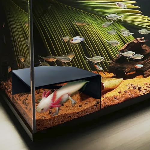 Aquarium Eckhöhle Versteck Axolotl Buntbarschhöhle Fischtankzubehör Eckfisch Aquarium Höhle Versteck mit Sichtfenster Terrarium/Aquarium Unterirdische Naturhöhle Aquarium Eckhöhle Versteck Axolotl Buntbarschhöhle Fischtankzubehör Eckfisch Aquarium Höhle Versteck mit Sichtfenster Terrarium/Aquarium Unterirdische Naturhöhle von CPLIKE