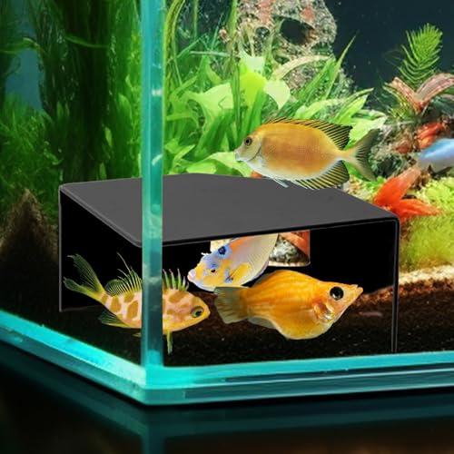 Aquarium Eckhöhle Versteck für Fische, Garnelen, Axolotl & Reptilien - Natürliches Aquarium Dekor mit Sichtfenster, Terrarium Höhle Versteck für Betta, Plecos, Buntbarsche, Schlangen - Sicheres Aquarium Eckhöhle Versteck für Fische, Garnelen, Axolotl & Reptilien - Natürliches Aquarium Dekor mit Sichtfenster, Terrarium Höhle Versteck für Betta, Plecos, Buntbarsche, Schlangen - Sicheres von CPLIKE