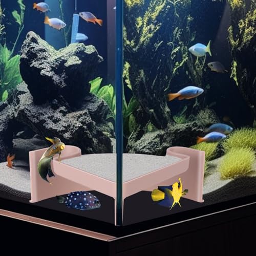 Aquarium-Eckhöhle mit Sichtfenster – 2-Loch-Fischversteck für Plecos, Cory Wels, Garnelen, Kuhli Schmerle, Betta – sicherer Kunststoff-Unterkiesschutz für Bodenbewohner (12,7 x 12,7 x 5,1 cm) von CPLIKE
