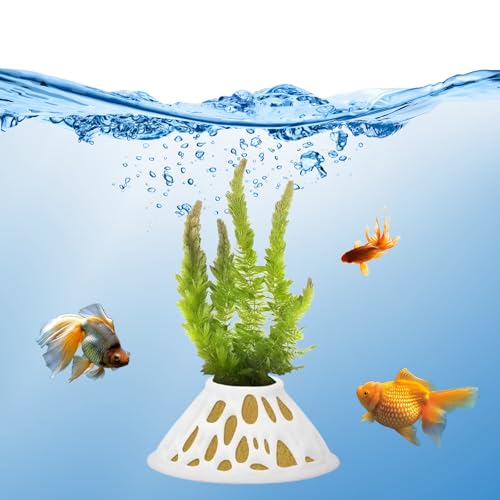 Aquarium-Pflanztöpfe – weiße Kunststoff-Pflanzgefäße mit seitlichen Belüftungslöchern, bruchsicher und BPA-frei, Aquarium-Dekoration für lebende Pflanzen, Garnelen, Javafarnen, Anubien, Süß- und von CPLIKE