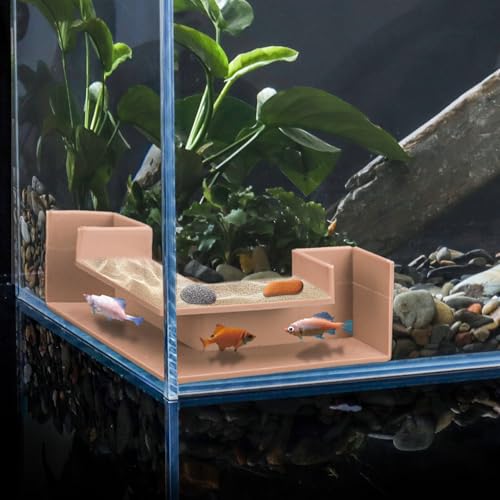 Aquarium-Tunnel, Hardscape, Garnelenversteck, Aquarium-Tunnel, Garnelen-Aquarium-Dekoration, Aquariumhöhle, Aquarium-Dekoration, Versteck für Aquarium, Aquarium-Zubehör, Dekorationen Aquarium-Tunnel, Hardscape, Garnelenversteck, Aquarium-Tunnel, Garnelen-Aquarium-Dekoration, Aquariumhöhle, Aquarium-Dekoration, Versteck für Aquarium, Aquarium-Zubehör, Dekorationen von CPLIKE